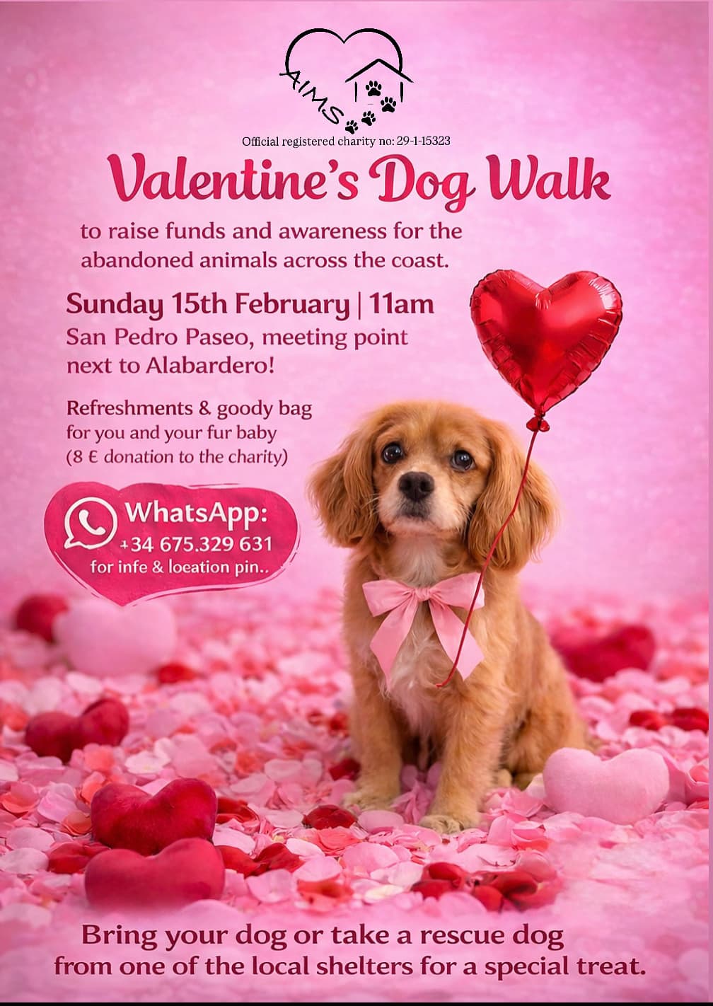 AIMS Valentines Dog Walk 2026 AIMS Valentines Dog Walk 2026